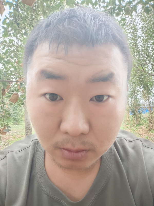 明天的第一张照片--新疆中老年相亲网